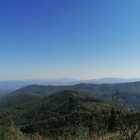 Marii Kawik Apartment Brenna