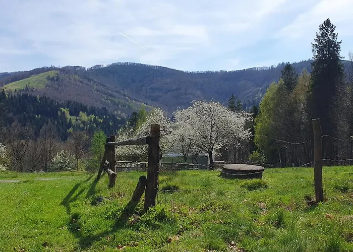 Apartment Marii Kawik Brenna