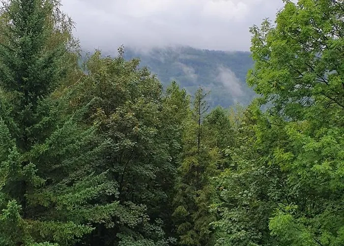 Marii Kawik Apartment