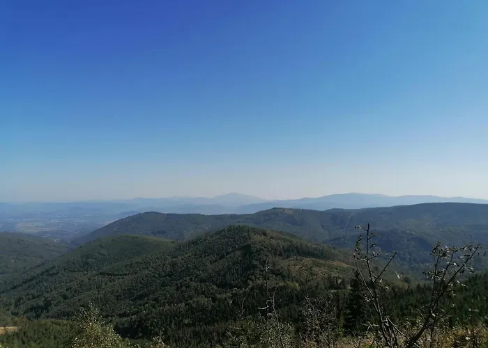 Marii Kawik Apartment Brenna